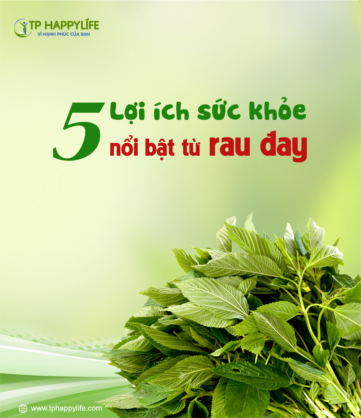 5 lợi ích sức khỏe nổi bật từ rau đay