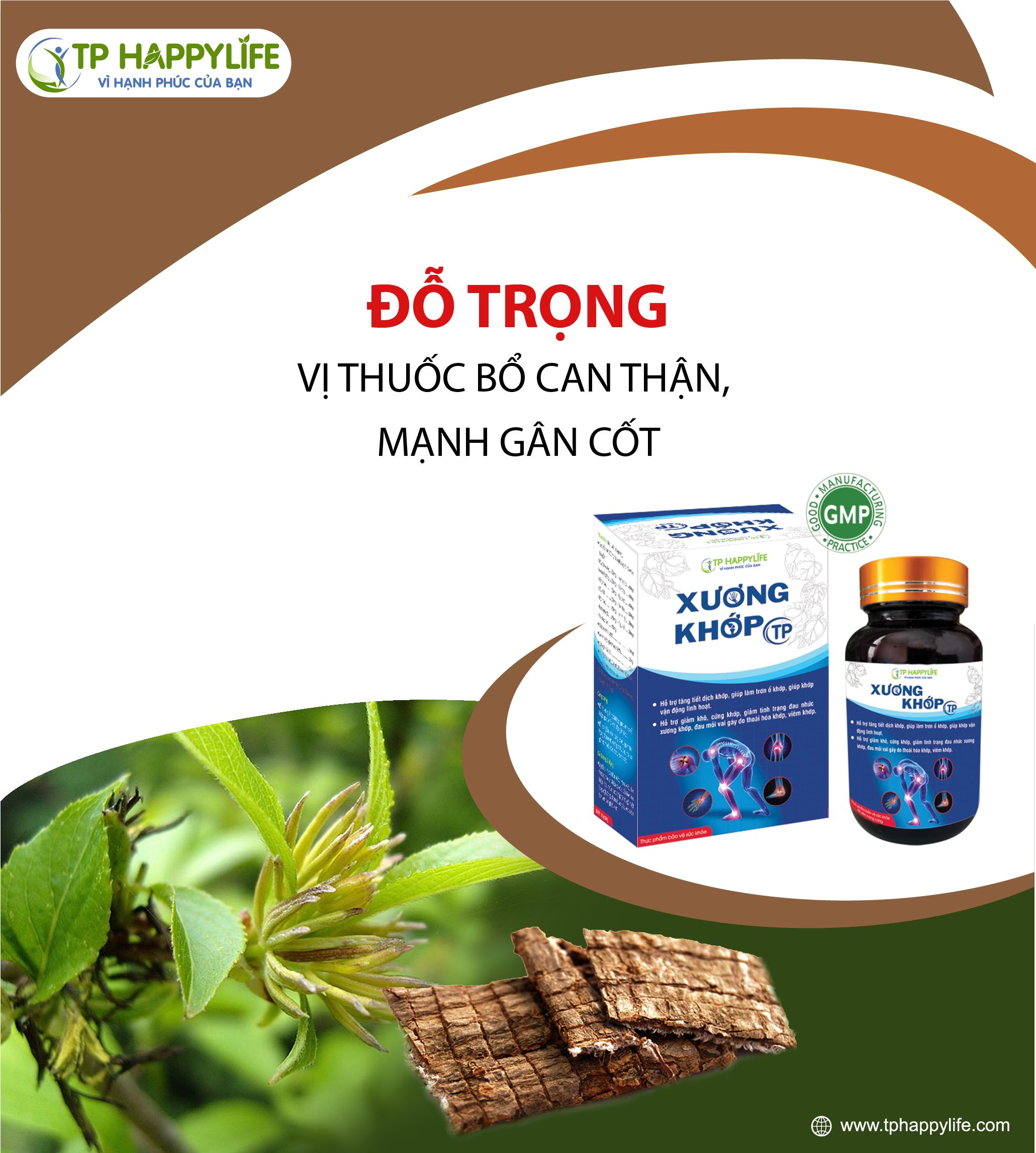 Đỗ trọng - Vị thuốc quý cho người đau lưng mỏi gối, xương yếu, khớp kém. Giúp bổ can thận, làm gân cốt dẻo dai, khỏe mạnh.