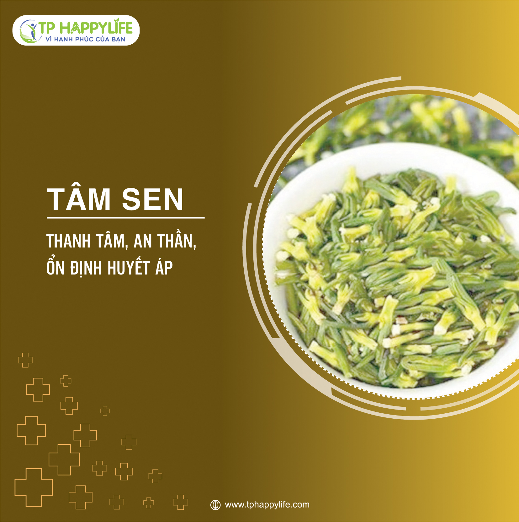 Tâm Sen – Vị thuốc thanh tâm, an thần, ổn định huyết áp