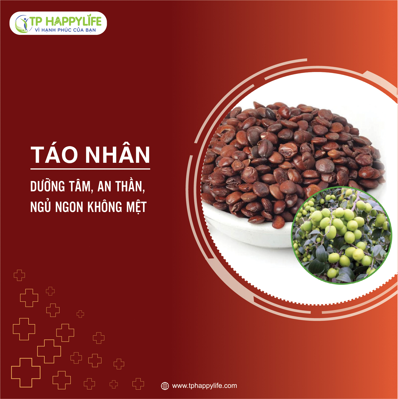 Táo nhân – Vị thuốc dưỡng tâm, an thần, ngủ ngon không mệt
